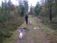 Klik op de foto voor groter formaat